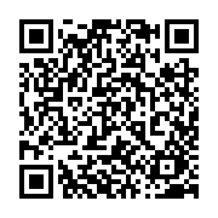 QR code for 0613ZO