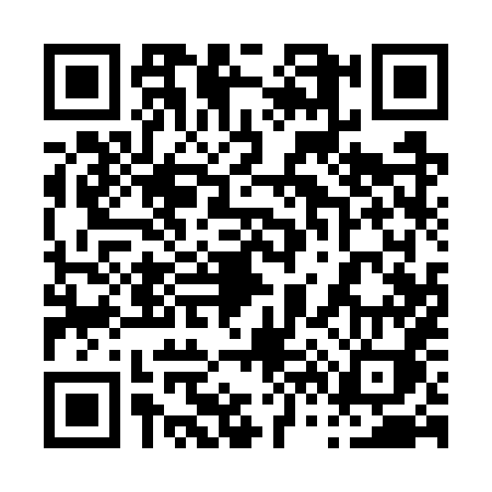 QR code for 0617XIN