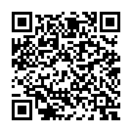 QR code for 0638DDR