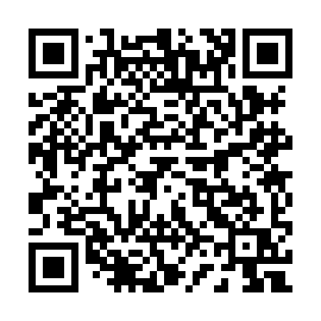 QR code for 0638IQ