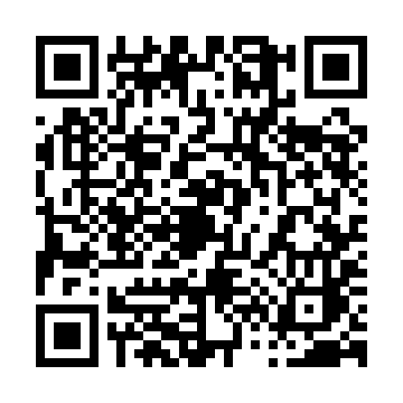 QR code for 0671ICO