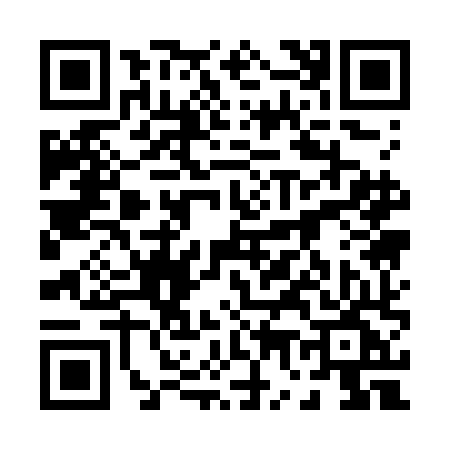 QR code for 0717HGP