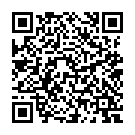 QR code for 0739DUI