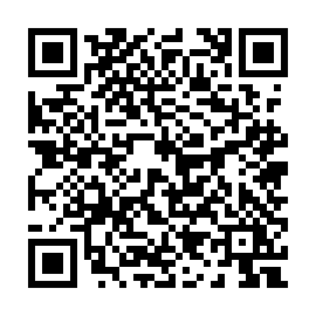 QR code for 0951DYI