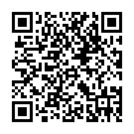 QR code for 0993IS