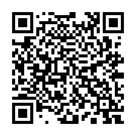 QR code for 101QII