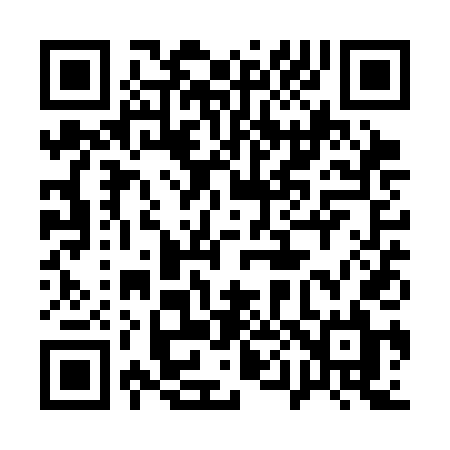 QR code for 101SDL