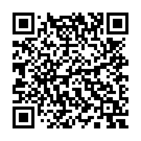 QR code for 110NYT