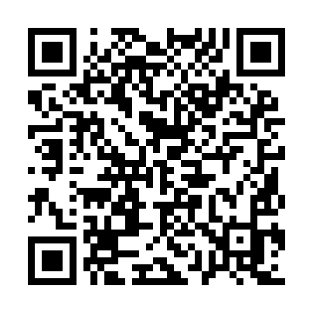 QR code for 1119IK
