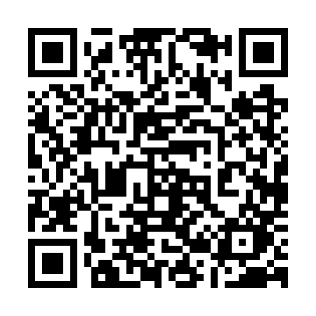 QR code for 1207PO