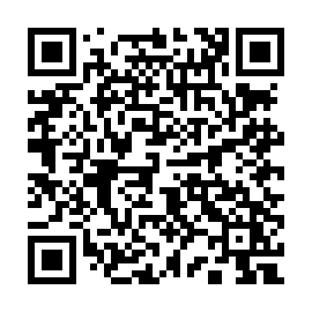 QR code for 125LDZ