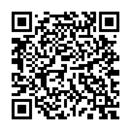 QR code for 125PYI