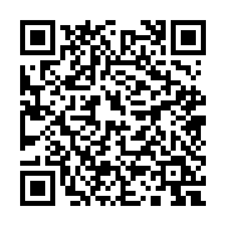 QR code for 1306DLP