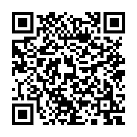 QR code for 1318SOL