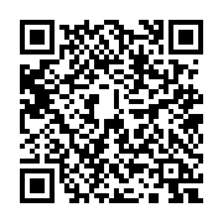 QR code for 1335DAG