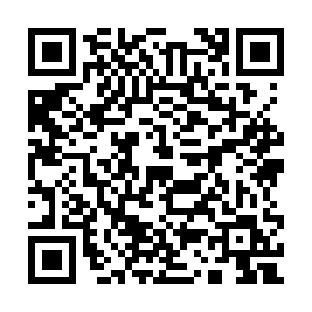 QR code for 1393QLQ