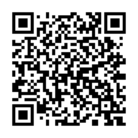 QR code for 161RIM