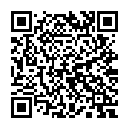 QR code for 162WPI