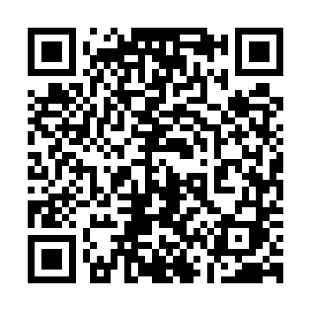 QR code for 1655TI