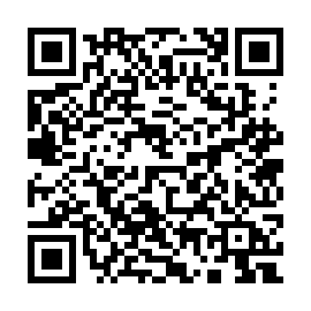 QR code for 1733OAM