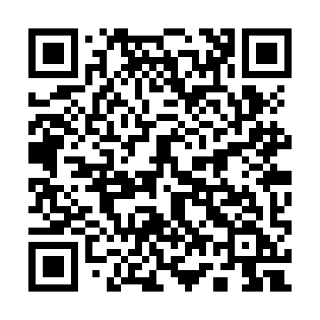 QR code for 173ZIF