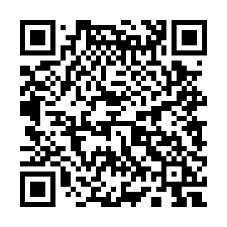 QR code for 1740PI