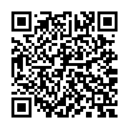 QR code for 196PMV