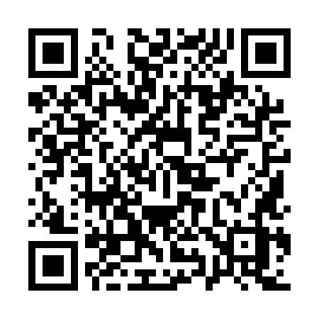 QR code for 1991LZ