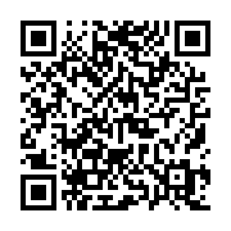 QR code for 1991RM