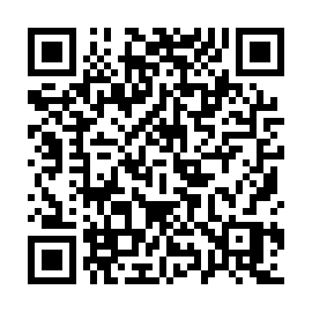 QR code for 1991RR