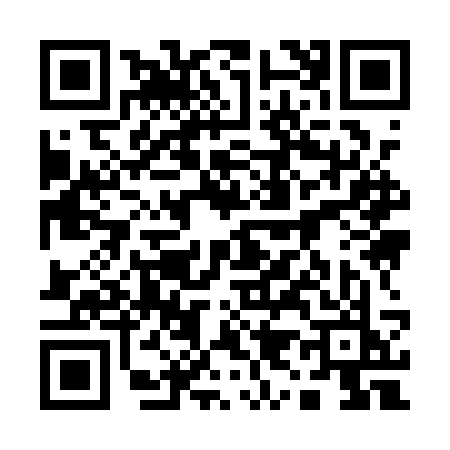 QR code for 1991SKV