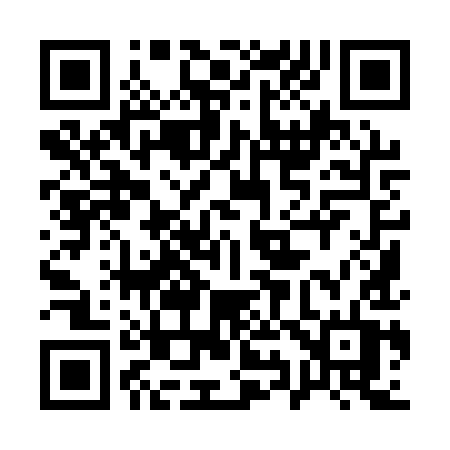 QR code for 1991YT