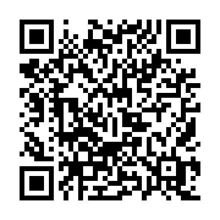 QR code for 1995DD