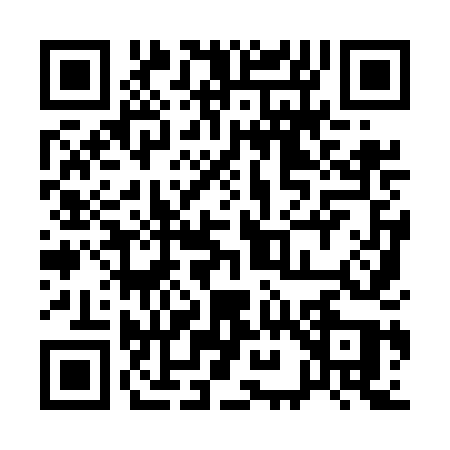 QR code for 1995DQX