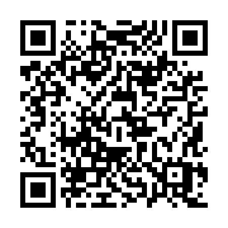 QR code for 1995HW