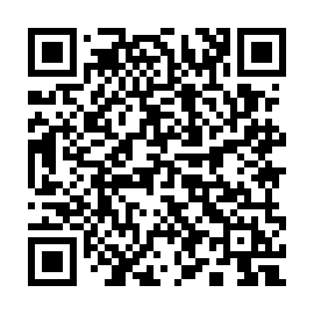 QR code for 1995MH