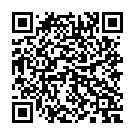 QR code for 1995TV