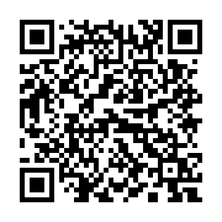 QR code for 1995WU