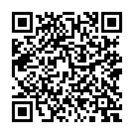 QR code for 1998LEO