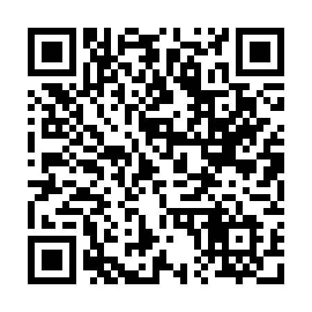 QR code for 2003WL