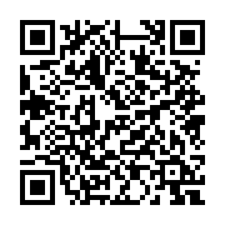 QR code for 2004SFN