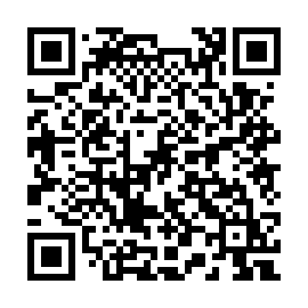 QR code for 2005SZ