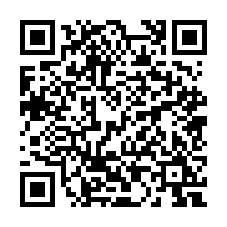 QR code for 2006JMD
