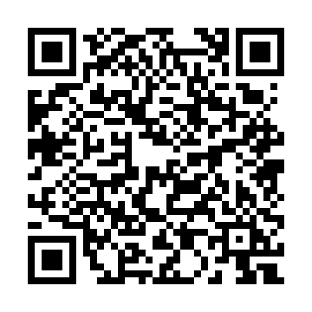 QR code for 2006PIC