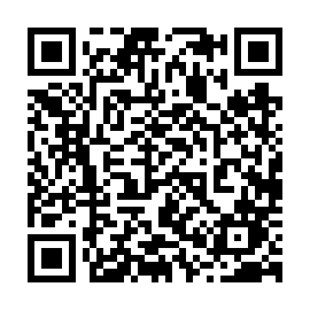 QR code for 2006PN