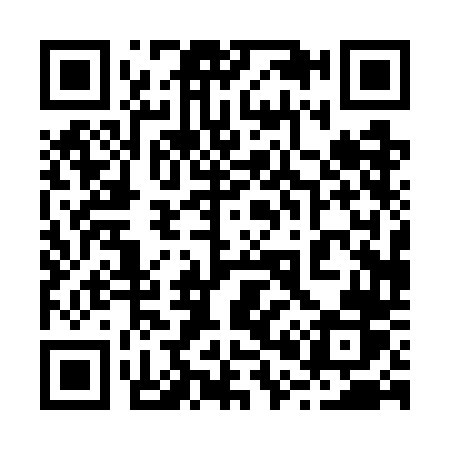 QR code for 2007DR