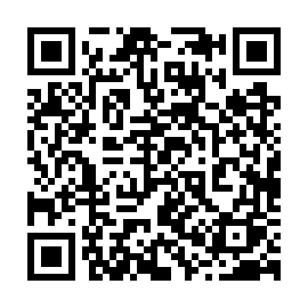 QR code for 2007VQ