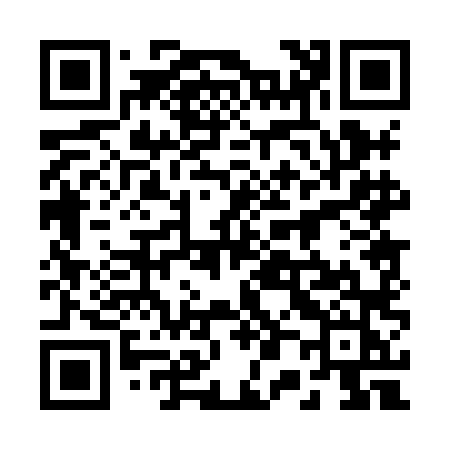 QR code for 2008LJ