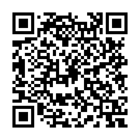 QR code for 2008SQ