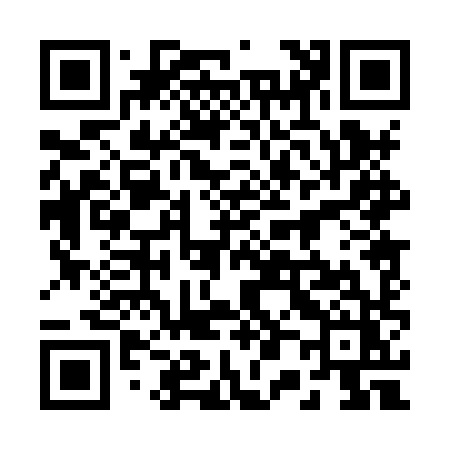 QR code for 2008XZ